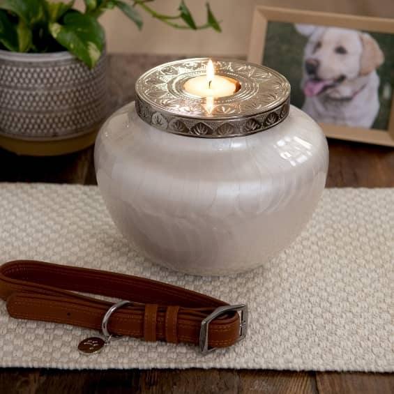 Large cremation urn for pets with dog in background